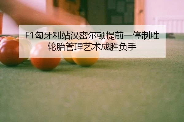 xiong-ya-li-zhan-han-mi-er-dun-ti-qian-yi-ting-zhi-sheng-lun-tai-guan-li-yi-shu-cheng-sheng-fu-shou-2-207.jpg
